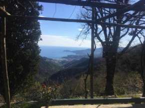 Vista Portofino